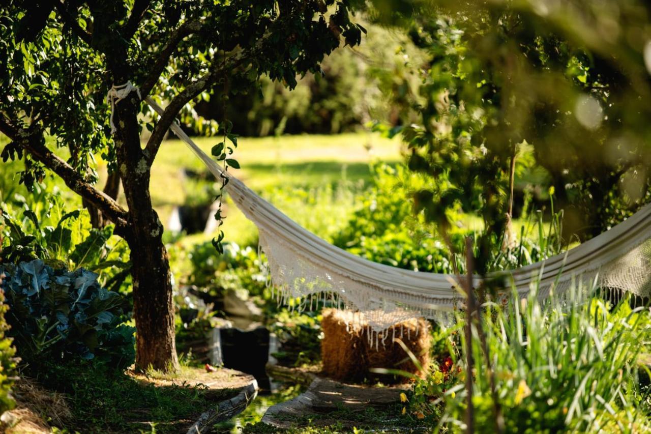 Casa Agricola Da Levada Eco Village Vila Real Bagian luar foto