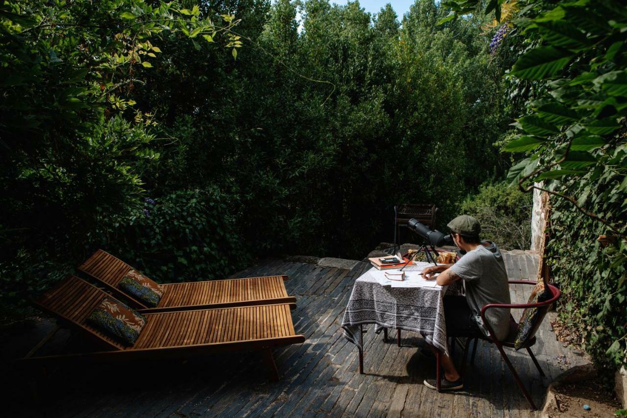 Casa Agricola Da Levada Eco Village Vila Real Bagian luar foto